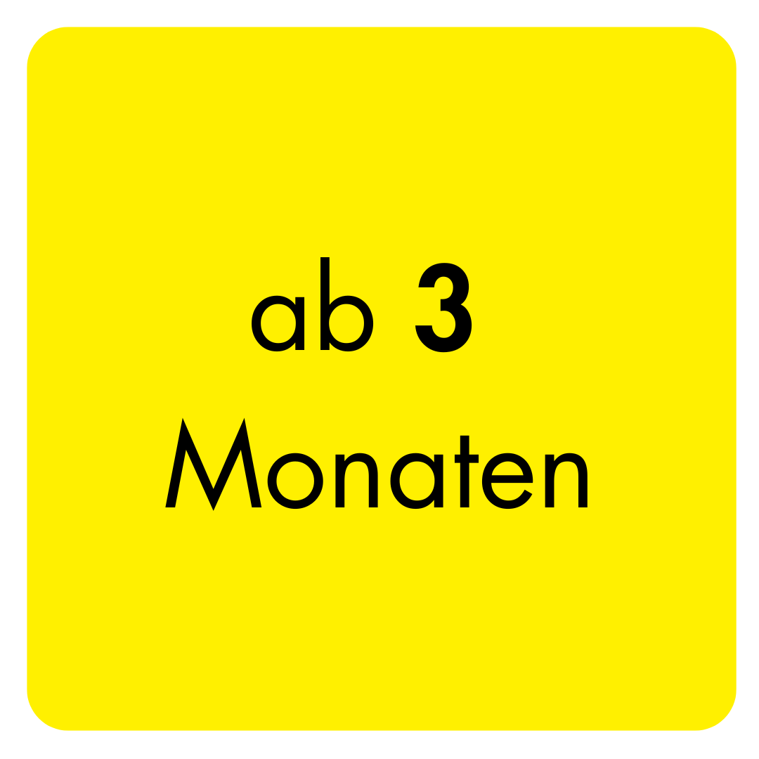 ab 3 Monaten